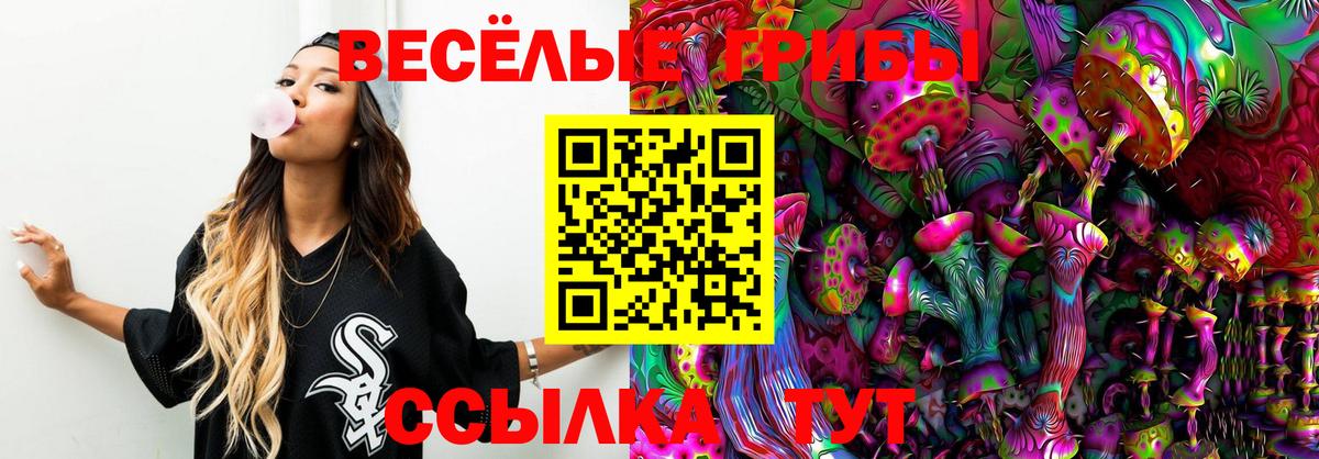 Галлюциногенные грибы Cubensis  Псилоцибиновые грибы MAGIC MUSHROOMS  Петрозаводск  Вход с VPN 